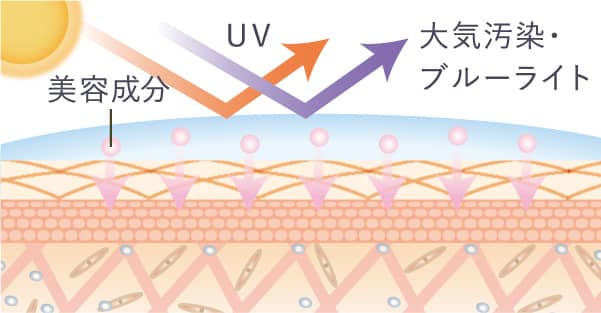 商品情報 | 【公式】morry's(モリーズ)化粧品